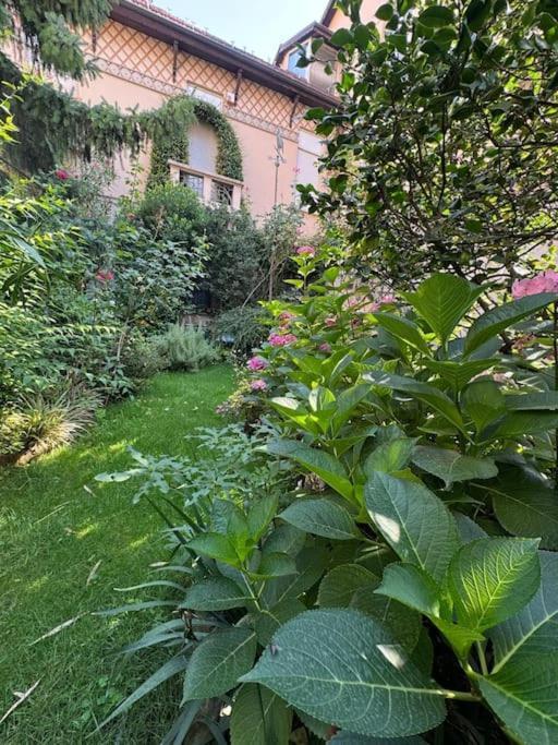 Giulia, Strategic Position Turin